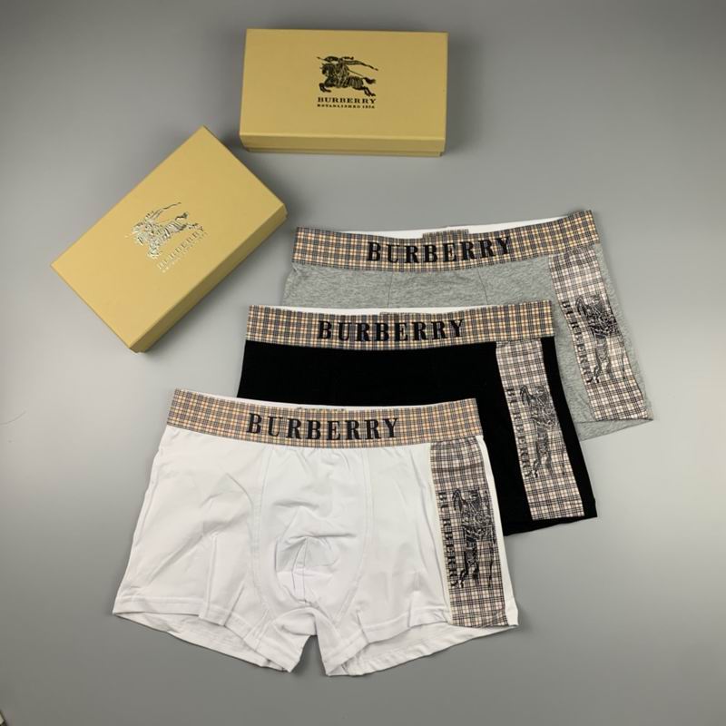 Burberry boxer M-XXL 33 (6)